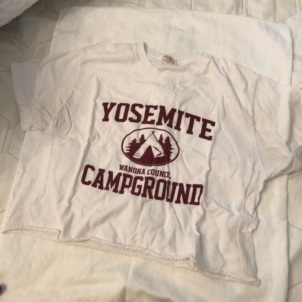 Cropped brandy melville tshirt